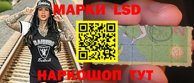 индика Вязники