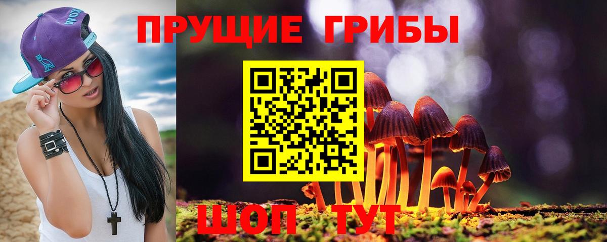 Вязники  Псилоцибиновые грибы мухоморы  Вход с VPN  Псилоцибиновые грибы Magic Shrooms 